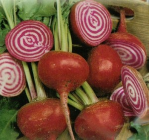 chioggia_beets chioggia_beets