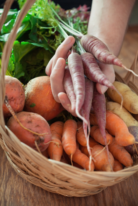 Organic Roots